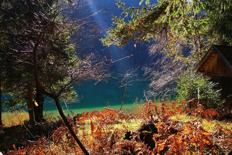 Waldbaden am Weissensee Naturpark Urlaub am Weissensee Wandern Mountainbiken