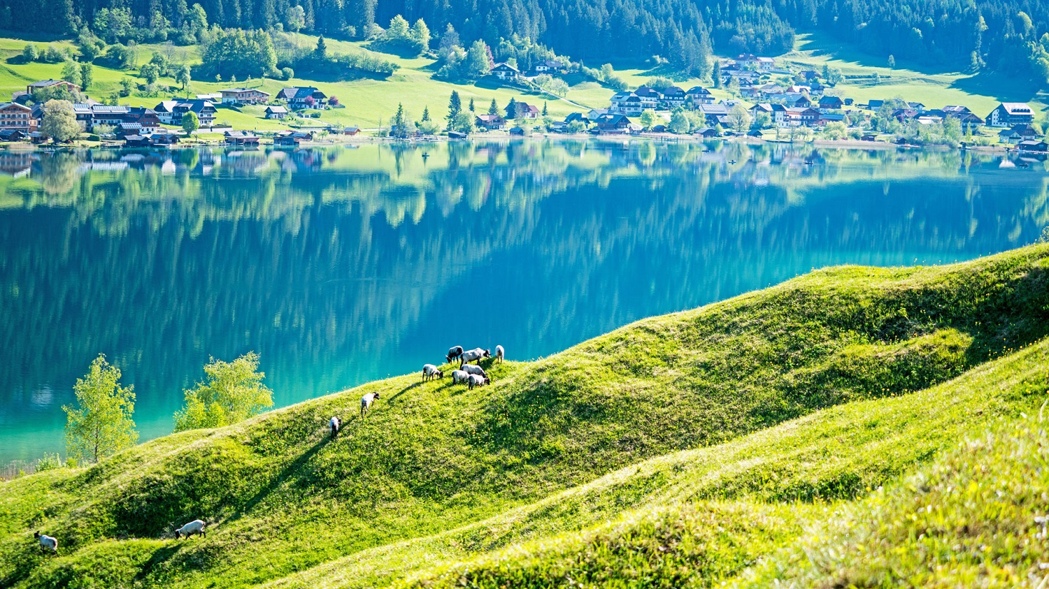 Hotel zum Weissensee Kärnten gemütlich Aktivurlaub Naturpark Bergwelten Farbenspiel Panoramawandern